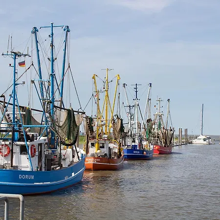 Wt 23 - Strandraeuber Komfort