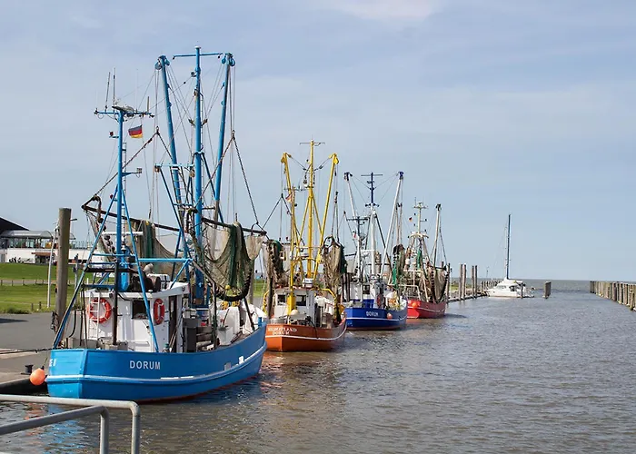 Wt 23 - Strandraeuber Komfort